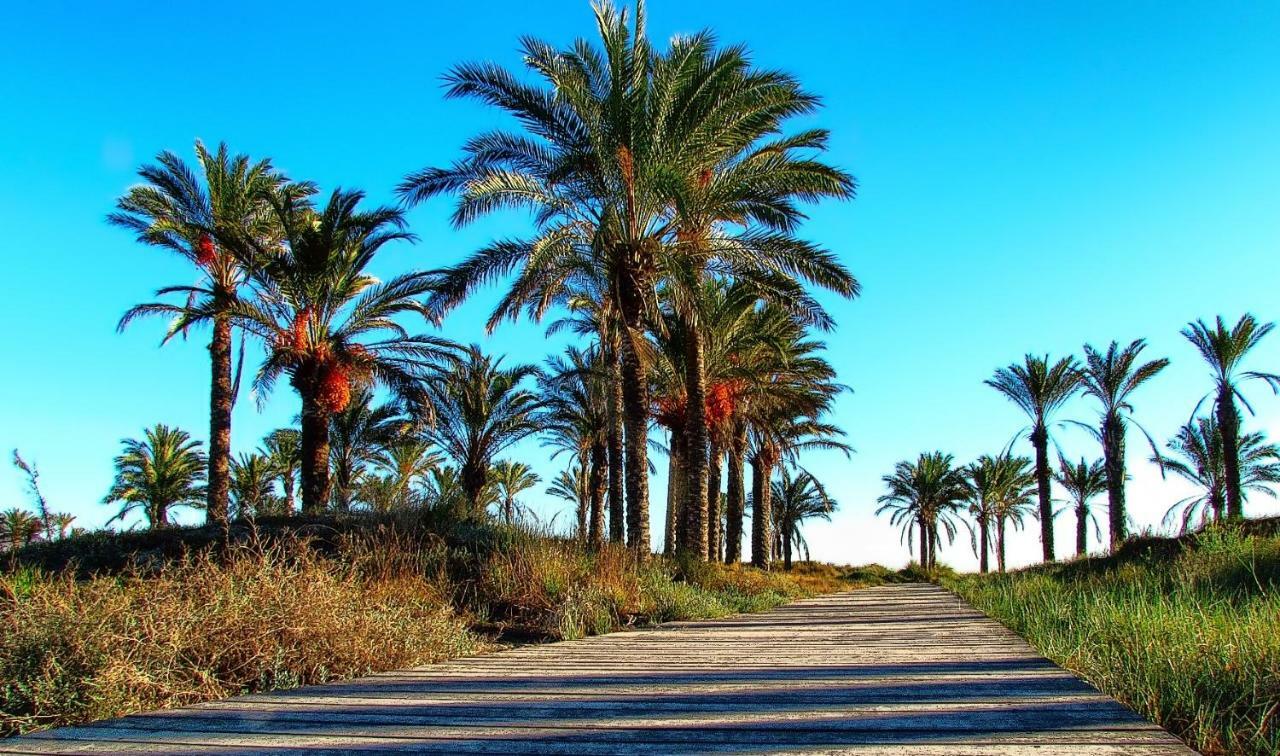 Апартаменты Piso Centro De Castellon Кастельон-де-ла-Плана Экстерьер фото